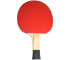 Rakietka do ping ponga Butterfly Timo Boll SG11