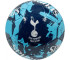 Piłka nożna Tottenham Hotspur