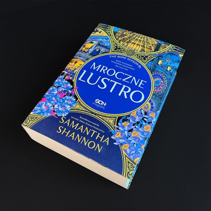 Mroczne lustro