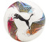 Piłka nożna Puma Futsal 1 TB FIFA Quality Pro 84342