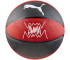 Piłka koszykowa Puma teamJAWS Basketball 84688
