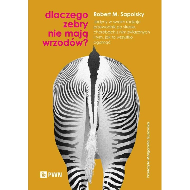 Dlaczego zebry nie mają wrzodów?