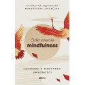 Odkrywanie mindfulness. Szczerze o medytacji..