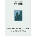 Sztuki plastyczne i literatura