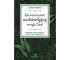 Jak wykorzystać uzdrawiającą energię Ziemi