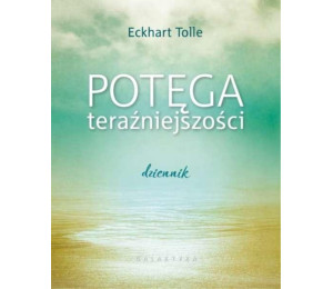 Potęga teraźniejszości. Dziennik