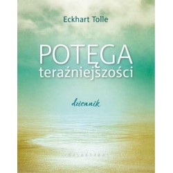Potęga teraźniejszości. Dziennik