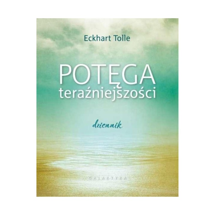 Potęga teraźniejszości. Dziennik
