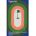 Figlarnie