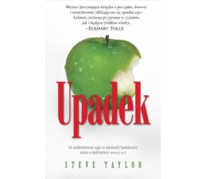 Upadek - Steve Taylor