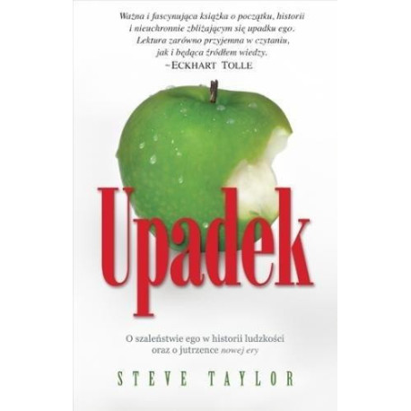 Upadek - Steve Taylor