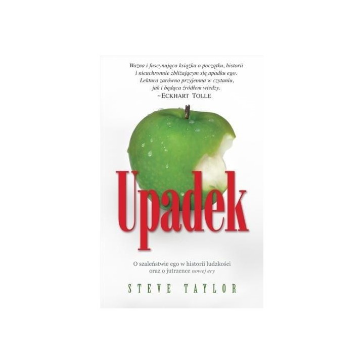 Upadek - Steve Taylor