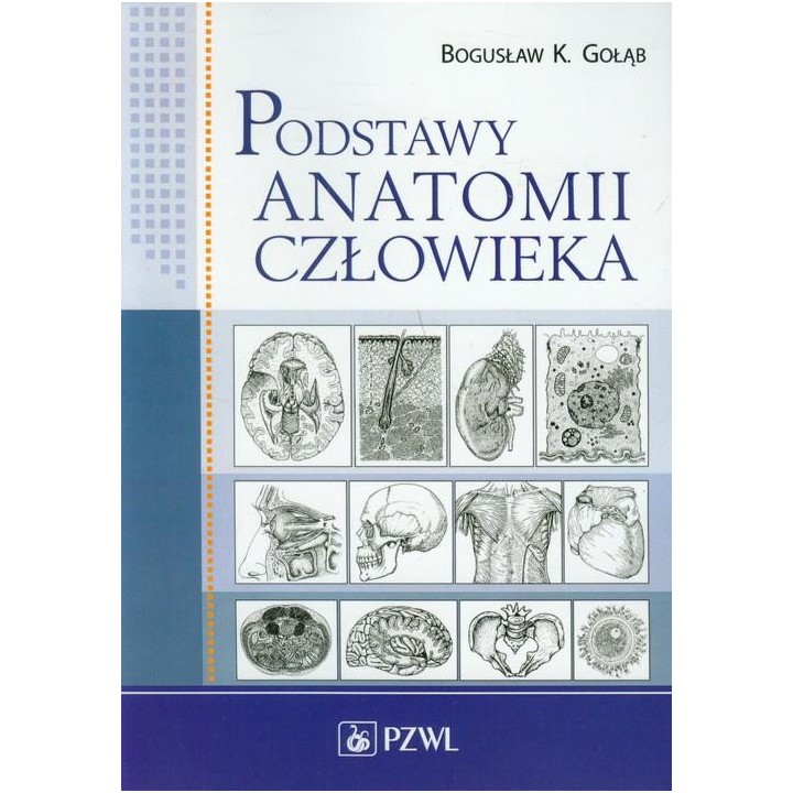 Podstawy anatomii człowieka. Podr. dla studentów