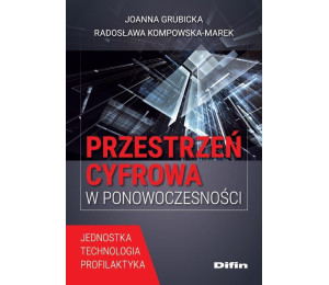 Przestrzeń cyfrowa w ponowoczesności