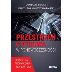 Przestrzeń cyfrowa w ponowoczesności