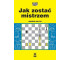 Jak zostać mistrzem