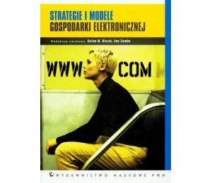 Strategie i modele gospodarki elektronicznej