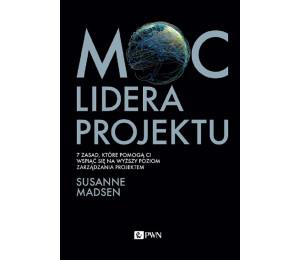 Moc lidera projektu