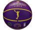 Piłka Wilson NBA Player Icon LeBron James Outdoor Ball
