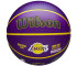 Piłka Wilson NBA Player Icon LeBron James Outdoor Ball