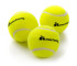 Piłka do tenisa ziemnego Meteor 3szt