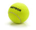 Piłka do tenisa ziemnego Meteor 3szt