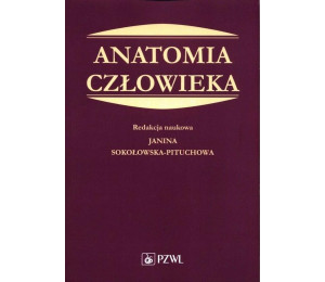 Anatomia człowieka