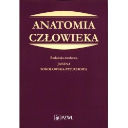 Anatomia człowieka