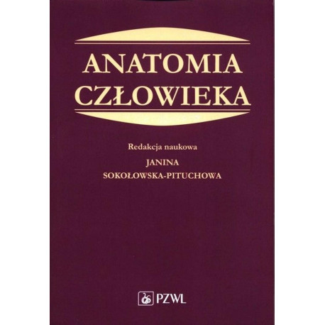 Anatomia człowieka