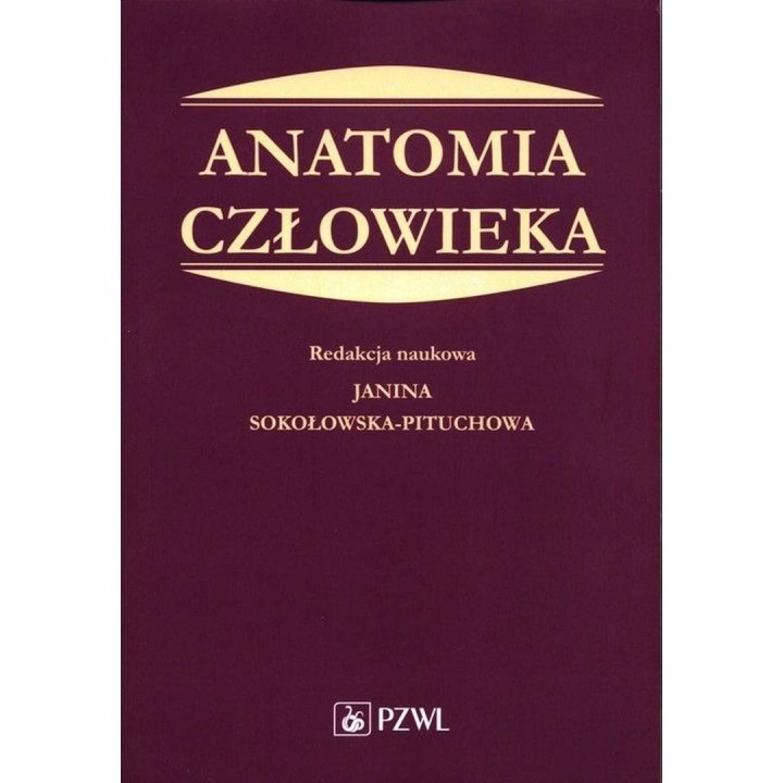 Anatomia człowieka