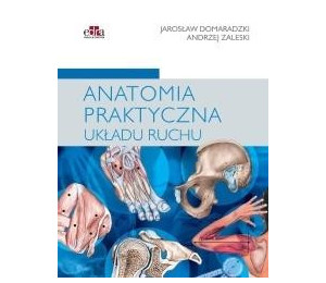 Anatomia praktyczna układu ruchu