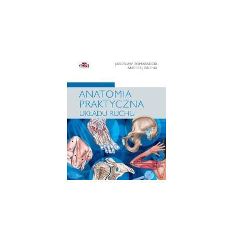 Anatomia praktyczna układu ruchu