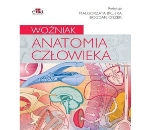 Anatomia człowieka. Woźniak