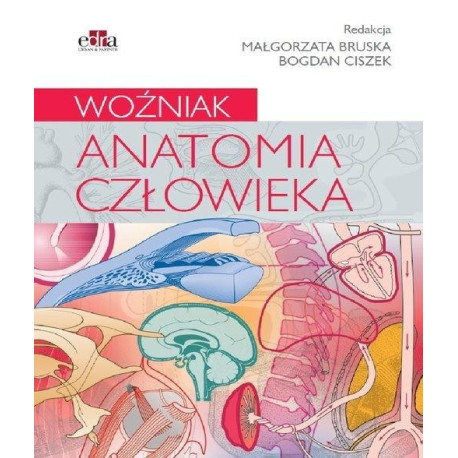 Anatomia człowieka. Woźniak