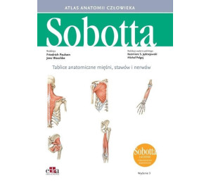 Tablice anatomiczne mięśni, stawów i nerwów