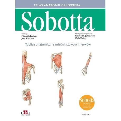 Tablice anatomiczne mięśni, stawów i nerwów