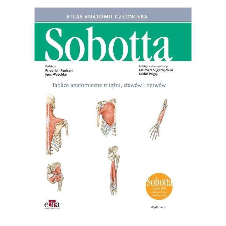 Tablice anatomiczne mięśni, stawów i nerwów