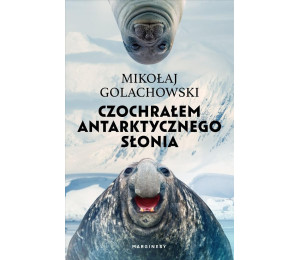 Czochrałem antarktycznego słonia w.rozszerzone