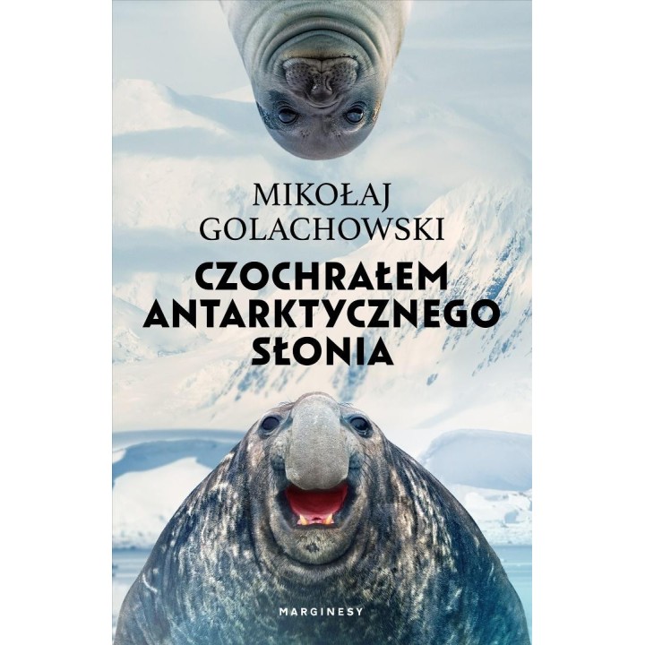 Czochrałem antarktycznego słonia w.rozszerzone