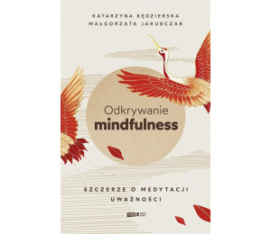 Odkrywanie mindfulness. Szczerze o medytacji..