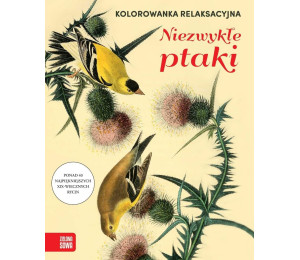 Kolorowanka relaksacyjna. Niezwykłe ptaki