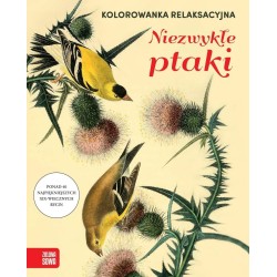 Kolorowanka relaksacyjna. Niezwykłe ptaki