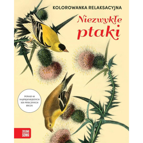 Kolorowanka relaksacyjna. Niezwykłe ptaki