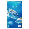Egipt. Travelbook w.4