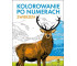 Kolorowanie po numerach. Zwierzęta