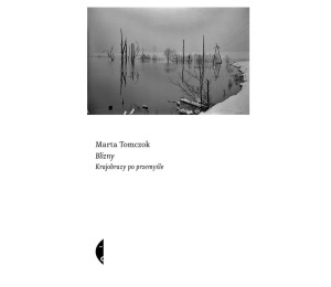 Blizny. Krajobrazy po przemyśle