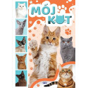 Mój kot