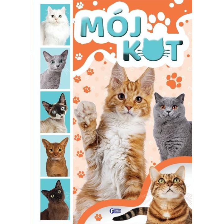 Mój kot