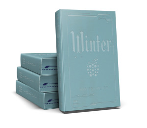 SQN Originals: Winter TW (barwione brzegi)