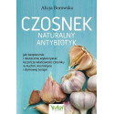 Czosnek - naturalny antybiotyk